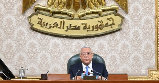 رئيس النواب يهنئ الدكتورة جيهان زكى لمنحها وسام "جوقة الشرف" من الرئيس الفرنسي