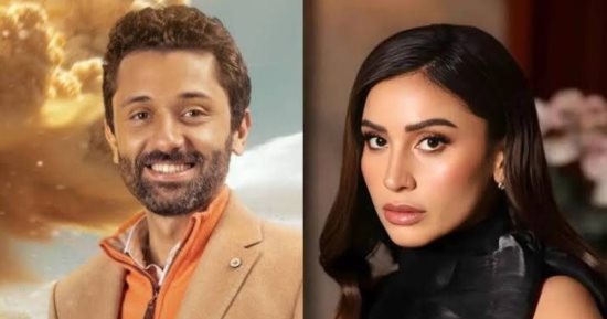 "طلقنى" يجمع كريم محمود عبد العزيز ودينا الشربينى للمرة الثانية فى السينما