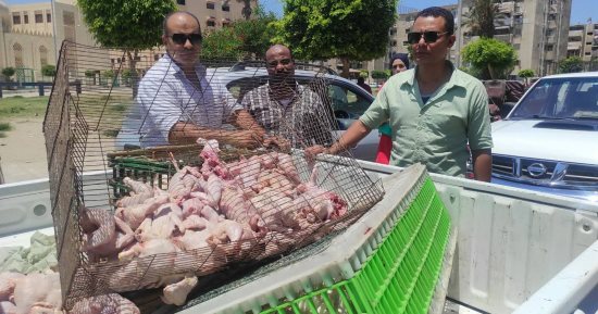 ضبط دواجن نافقة قبل بيعها للمواطنين فى بورسعيد.. صور