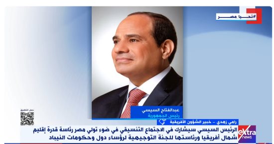 خبير: مصر تقدم لأفريقيا نموذجًا تنمويًا ناجحًا ومبادرات حاسمة للأمن والسلام