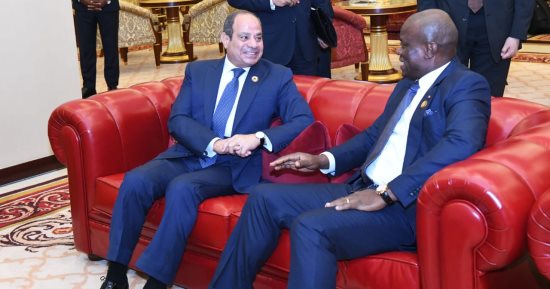 الرئيس السيسى: مصر عملت خلال فترة رئاستها للجنة التوجيهية للنيباد على تنفيذ أولويات محددة 