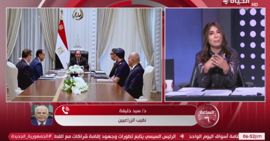 نقيب الزراعيين: الرئيس السيسي حريص على وجود مخزون احتياطي كبير من السلع الاستراتيجية