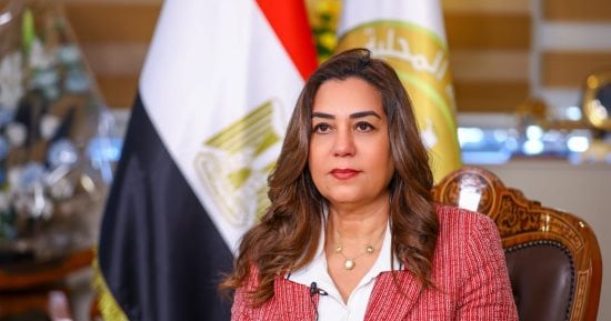 وزارة التنمية المحلية تصدر بيانًا بشأن ضبط صحفى على خلفية نقد رئيسة وحدة محلية