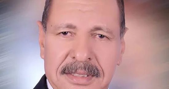 أمين الجبهة الوطنية بالوادى الجديد: ثورة يوليو سببا محوريا لوجود المحافظة