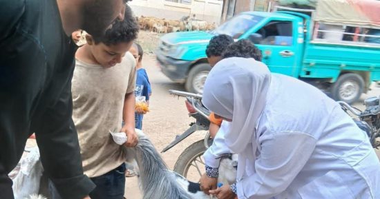 قافلة بيطرية مجانية بالحسينية ضمن مبادرة تنمية الريف