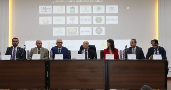 محافظ القاهرة تعلن إقامة معارض لدعم صناعات الزيتون
