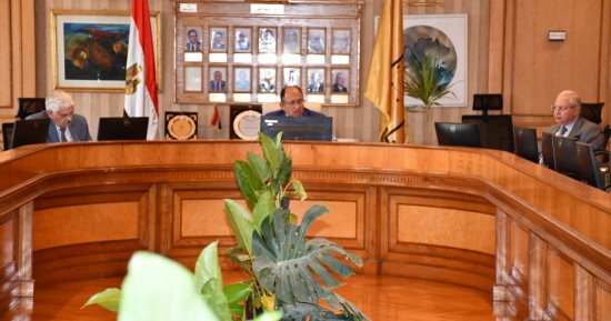 رئيس جامعة حلوان: استكمال منظومة التحول الرقمى للوصول نحو "الإدارة الذكية"