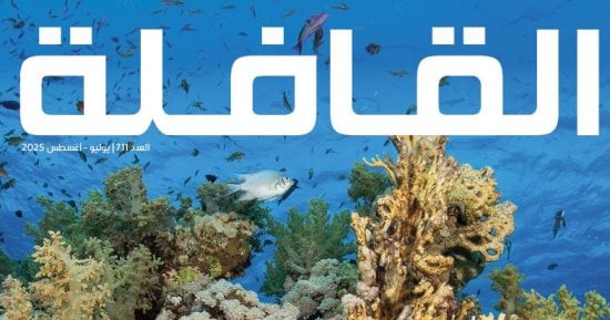 مجلة القافلة فى عددها الجديد: من اقتصاد الانتباه إلى الخاتم