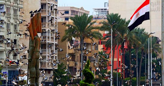 الحمام رمز السلام والصمود والإصرار.. ميدان الشهداء أيقونة استقبال الزوار ببورسعيد