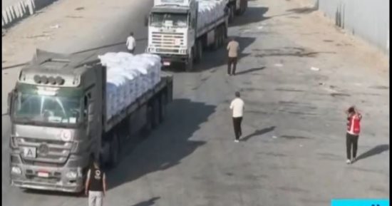 محلل فلسطينى: من يشكك فى الدور المصرى فضحته مشاهد دخول شاحنات المساعدات إلى غزة