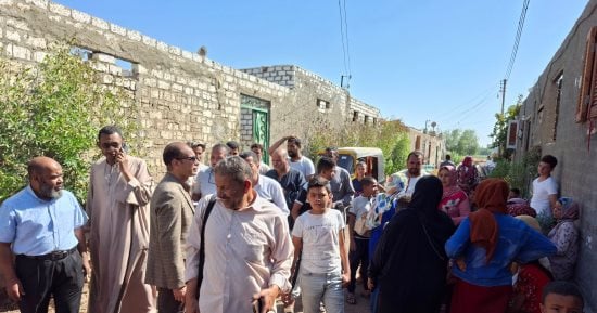 11 رأس ماشية و61 رأس غنم و481 طائر خسائر حرائق برخيل بسوهاج.. صور