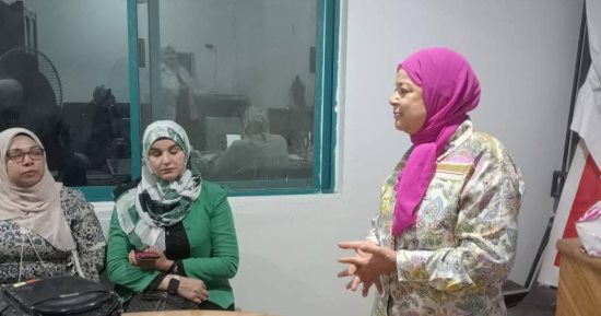 القومى للمرأة بسوهاج ينظم دورة تدريبية لدعم مشاركة المرأة بانتخابات الشيوخ 