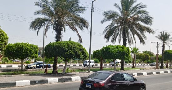 تعرف على حالة الطقس اليوم الثلاثاء فى الإسماعيلية.. فيديو