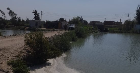 إغلاق جزئى لمزرعة سمكية مخالفة بقرية أم مشاق بالقصاصين فى الإسماعيلية