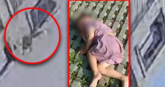 معجزة.. طفل 3 سنوات ينجو بعد سقوطه من الطابق الـ18 ووالده يُكرم "شجرة" أنقذته