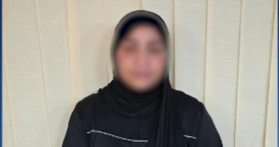 الداخلية: ضبط صانعة محتوى نشرت فيديوهات خادشة للحياء.. فيديو