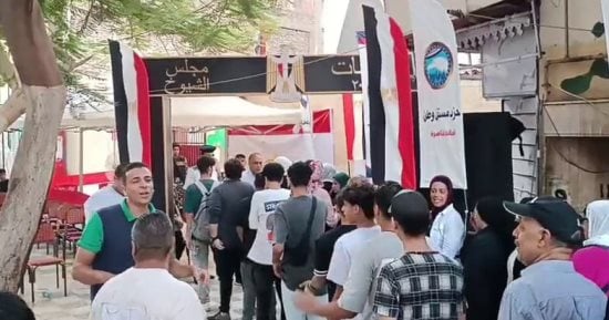 تزاحم المواطنين أمام اللجان بمدينة نصر للمشاركة فى انتخابات الشيوخ.. صور