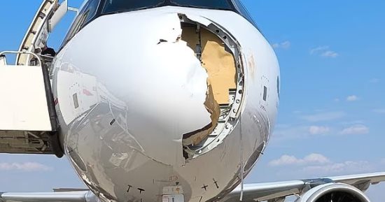 طائر يصطدم بمقدمة طائرة إيرباص ويرغمها على الهبوط فى إسبانيا.. صور