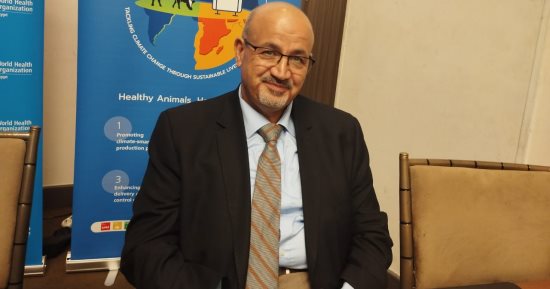 الصحة العالمية: مزارع الحيوانات والأسماك تستخدم أطنانا من المضادات الحيوية