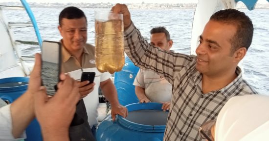 جهاز حماية البحيرات يطلق الدفعة الثالثة من يرقات الجمبري في بحيرة قارون