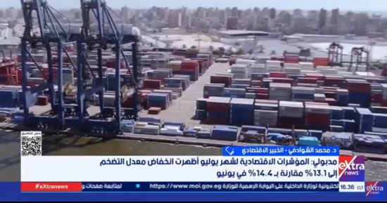 خبير: الحكومة ملتزمة بإتاحة المنافسة ومقاومة الاحتكار والحيادية
