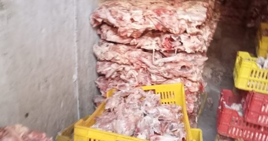 ضبط 2 طن هياكل دجاج غير صالحة للاستهلاك بكرداسة 