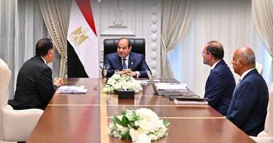 الرئيس السيسى يطلع على مؤشرات الأداء المالى لعام 2025/2024.. إنفوجراف