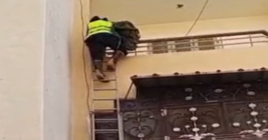 الأمن ينقذ قطة عقب احتجازها فى بلكونة بالسويس 
