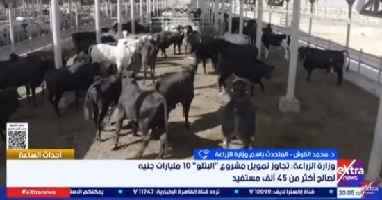 الزراعة: مشروع البتلو يوفر مصادر دخل للشباب والمرأة المعيلة وصغار المربين
