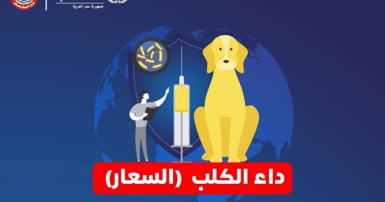 وزارة الصحة توجه رسالة هامة للحماية من السعار .. تفاصيل