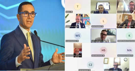 48.2 زيادة فى الصادرات المصرية إلى الدنمارك 