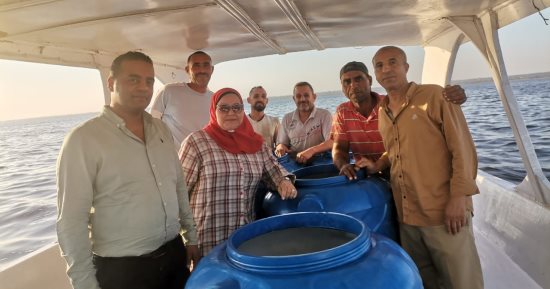 إطلاق الدفعة الرابعة من يرقات الجمبري في بحيرة قارون ضمن خطة تنميتها 
