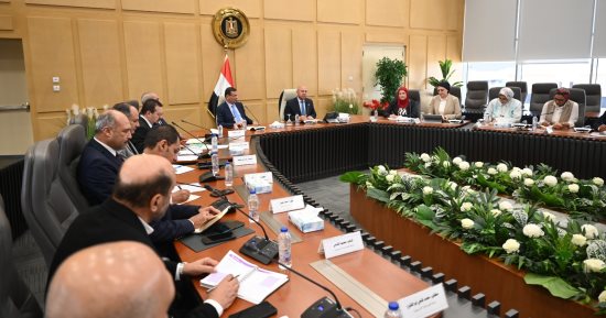 كامل الوزير يبحث مع ووزير الزراعة التوسع في تصنيع الزبيب وتوطين صناعة الكتان