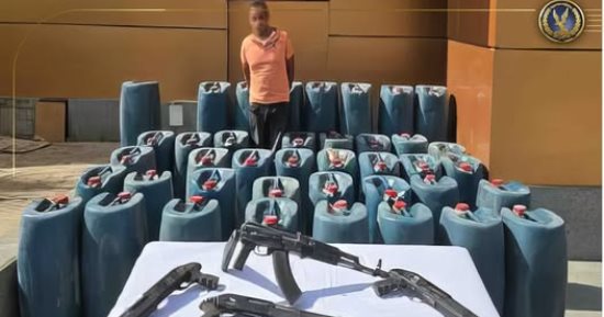 تفاصيل ضبط الداخلية لعنصر شديد الخطورة بحوزته سلاح وسولار مهرب.. فيديو