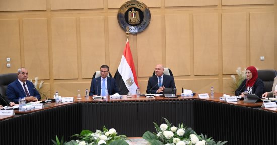 الزراعة والنقل: التوسع فى تصنيع الزبيب ودراسة آليات زيادة المساحات المزروعة من العنب