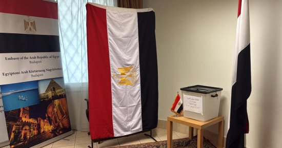 فئات مستثناة من حق الاقتراع فى القانون.. التفاصيل