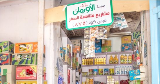ضمن جهود التحالف الوطنى.. تسليم 12 مشروع تمكين اقتصادى للأكثر احتياجا بسوهاج
