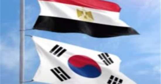 العلاقات المصرية الكورية.. شراكة استراتيجية تتقدم بثبات نحو مستقبل واعد