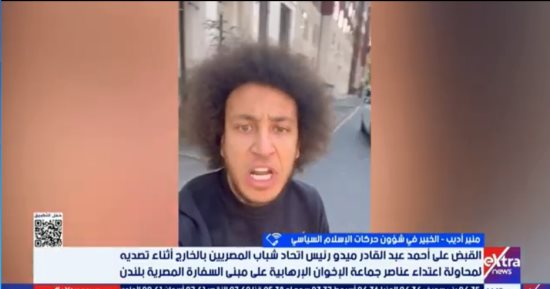 منير أديب: المصريون فى الخارج يدافعون عن سفارات دولتهم من الإخوان