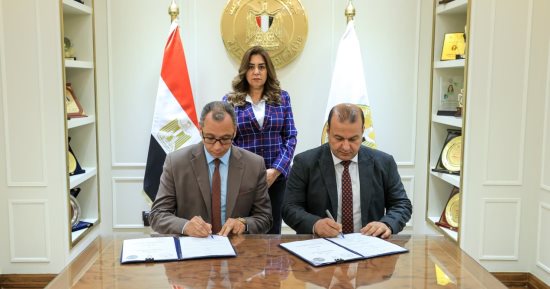 تجهيز مجزرين متنقلين لذبح الماشية فى المناطق النائية والحدودية