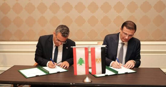 وزيرا الزراعة فى مصر ولبنان يختتمان أعمال الدورة الخامسة للجنة الفنية المشتركة بالقاهرة