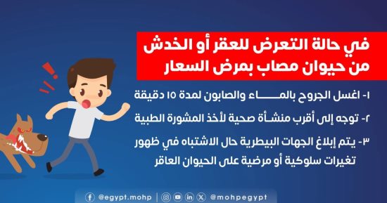 السعار قاتل.. وزارة الصحة تصدر دليل الإسعافات الأولية عند عقر الحيوانات