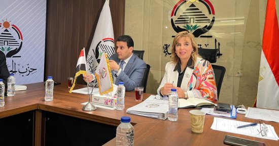 النقابات المهنية بـ"الجبهة الوطنية" تضع خطتها لانتخابات "النواب"