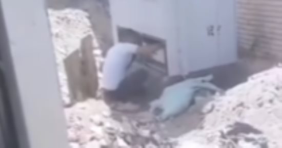 الداخلية توضح حقيقة فيديو سرقة البطاريات
