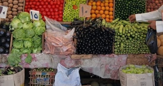 "تموين الأقصر" تعلن افتتاح 31 سوق يوم واحد خلال مرحلتى المبادرة.. صور