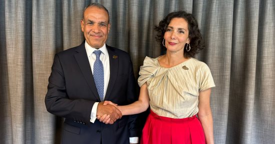 وزير الخارجية يلتقي المفوضة الأوروبية لإدارة الأزمات