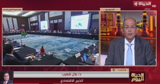 خبير اقتصادى لـ"الحياة اليوم": مصر صوت إفريقيا المسموع في مجموعة العشرين