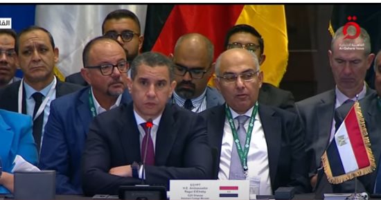 ممثل مصر أمام قمة العشرين: الأمن الغذائي تحدٍ معقد يحتاج لإصلاحات شاملة