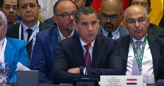 ممثل مصر أمام قمة العشرين: الجوع يستخدم فى غزة لكسر إرادة الشعب الفلسطينى