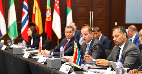المالية: مصر عملت على توسيع الرقعة الزراعية وزيادة الإنتاجية وتوفير السلع الغذائية